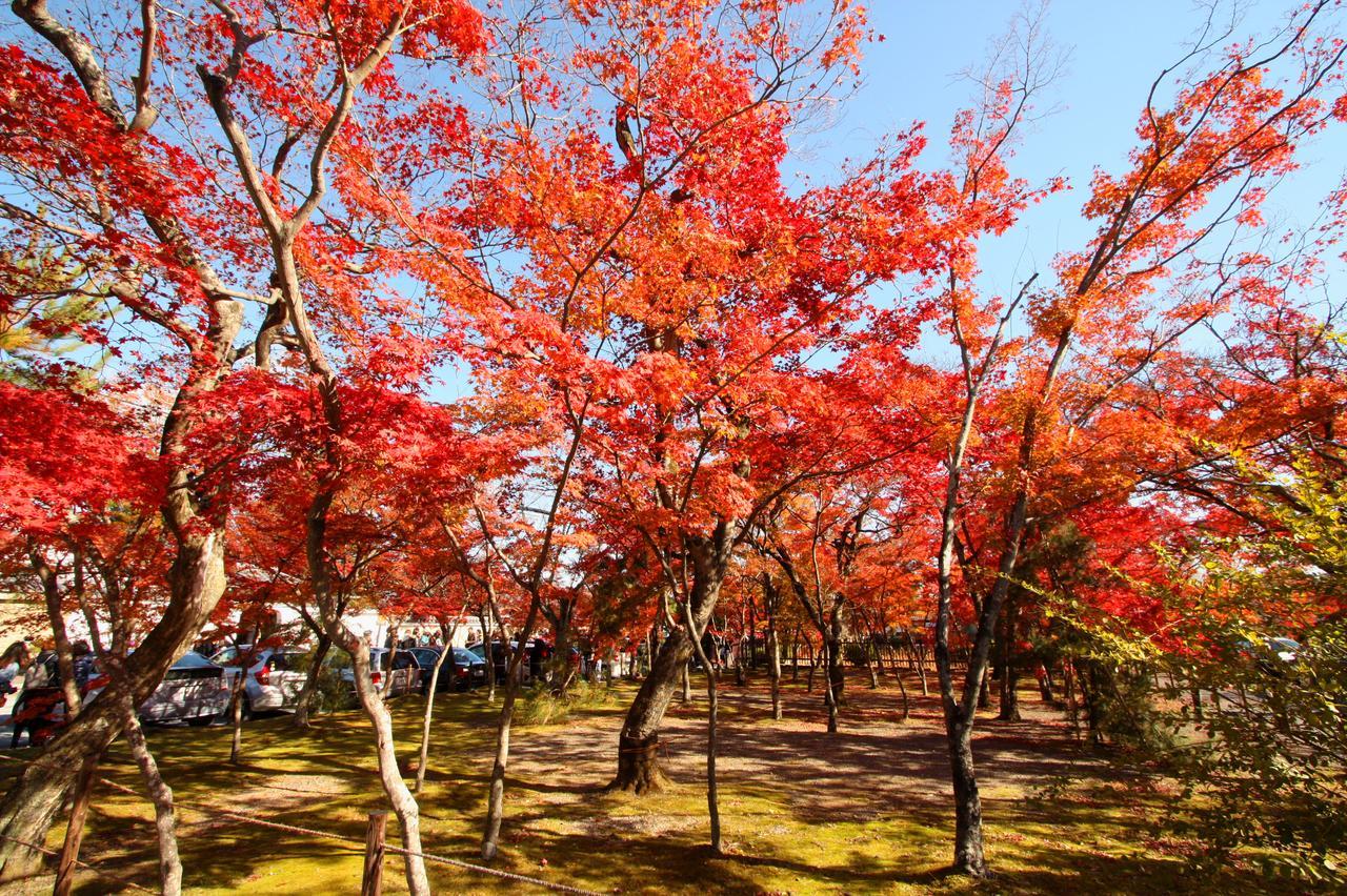 一棟貸切り宿 Guesthouse 嵯峨嵐山 Kjóto Exteriér fotografie
